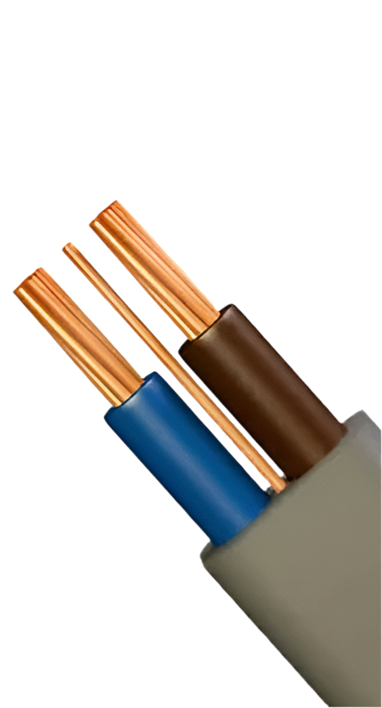 006) 16mm T&E (Per Mtr)