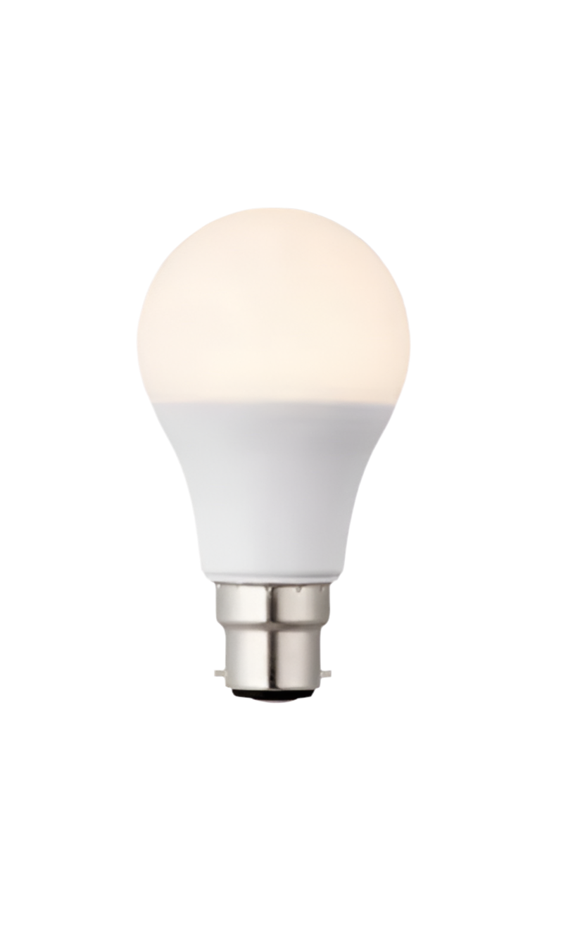 1) 10W Bayonet Warm White (Non Dimmable)