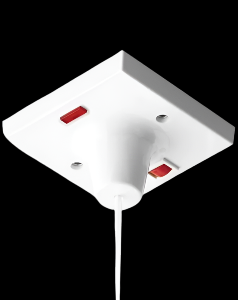 007) BG NEXUS 45amp Shower Pull cord