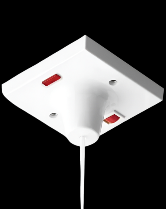 007) BG NEXUS 45amp Shower Pull cord