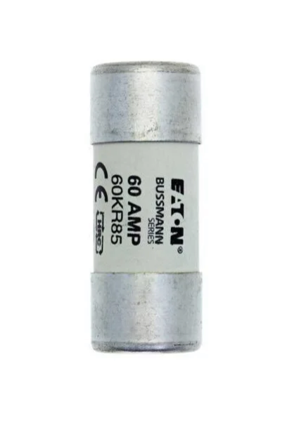 1) 60amp Domestic House Fuse