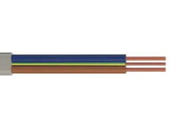 EARTHSURE 2.5mm & CPC - 100mtr Reel